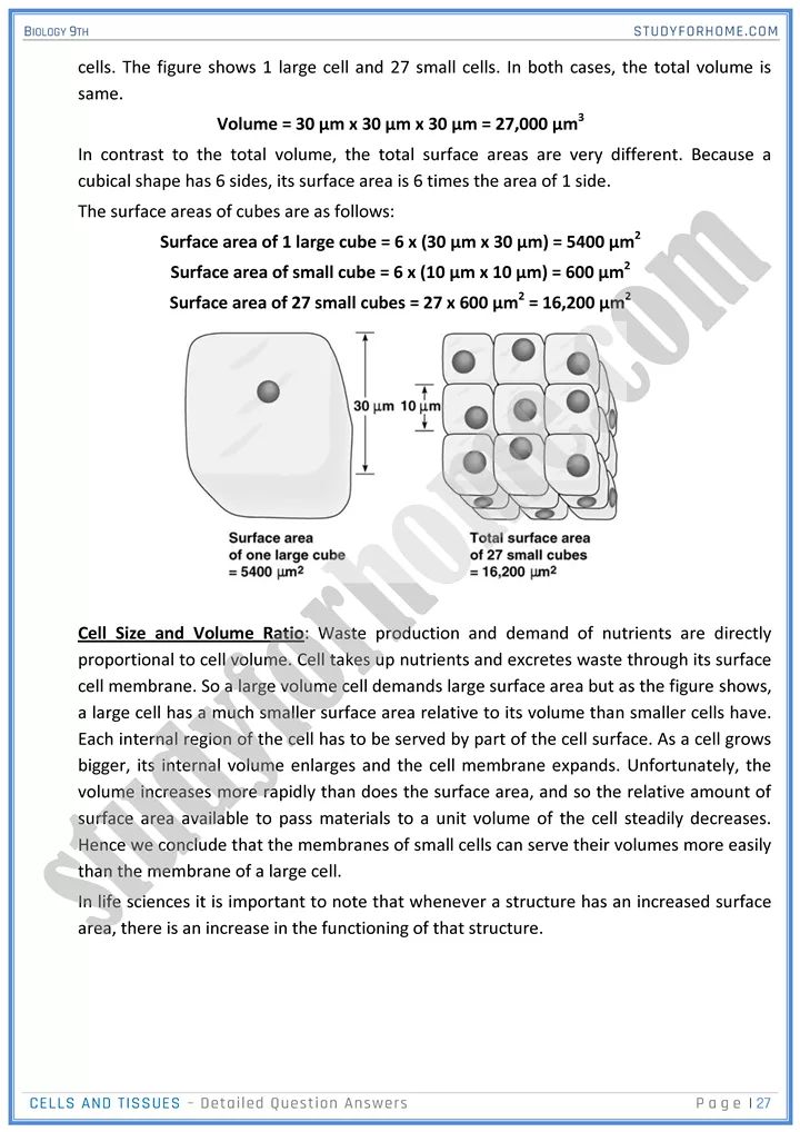 cells and tissues detailed question answers biology 9th 27