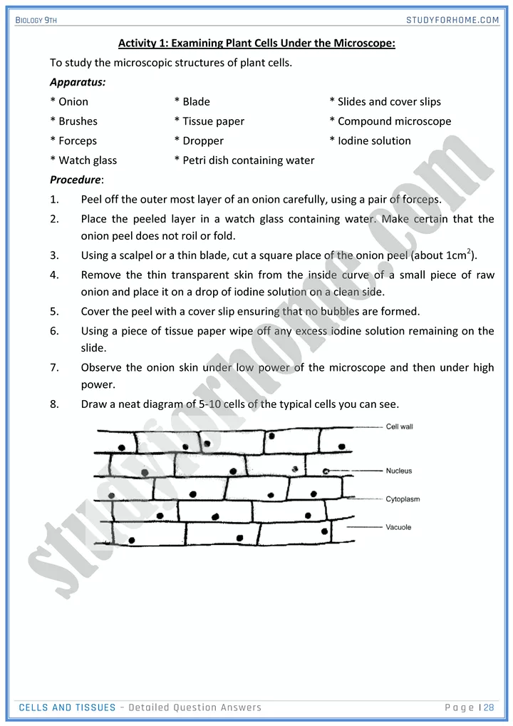 cells and tissues detailed question answers biology 9th 28