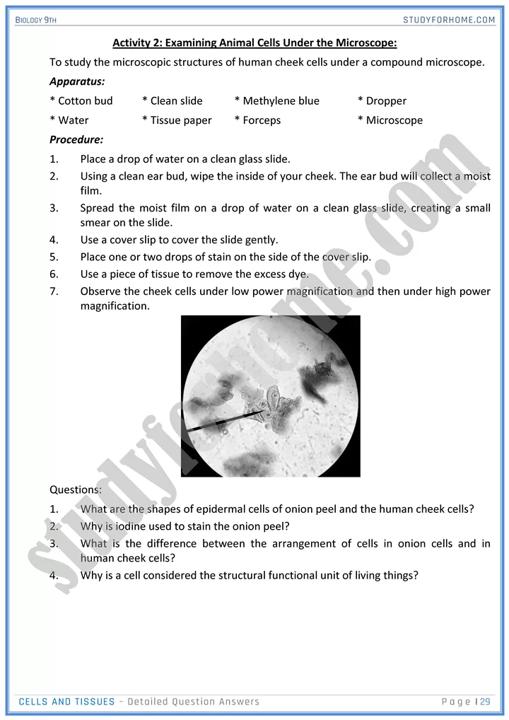 cells and tissues detailed question answers biology 9th 29