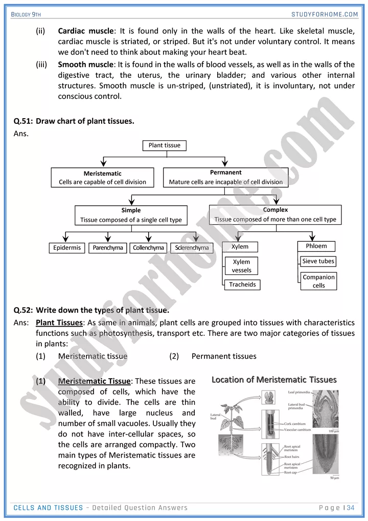 cells and tissues detailed question answers biology 9th 34