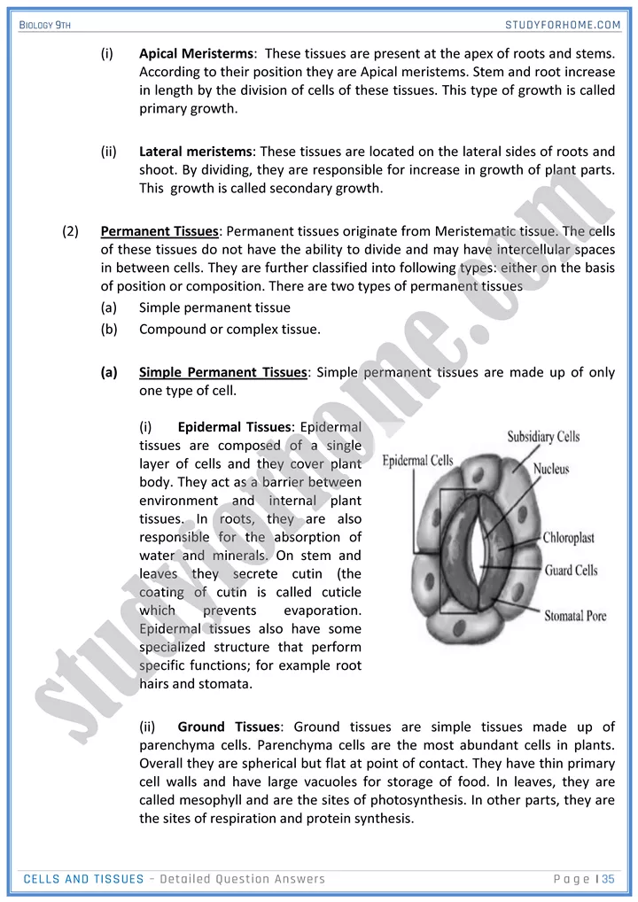 cells and tissues detailed question answers biology 9th 35