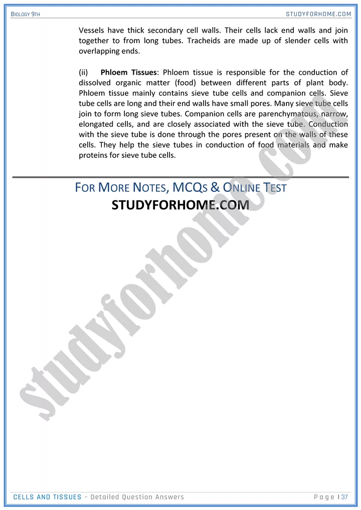 cells and tissues detailed question answers biology 9th 37