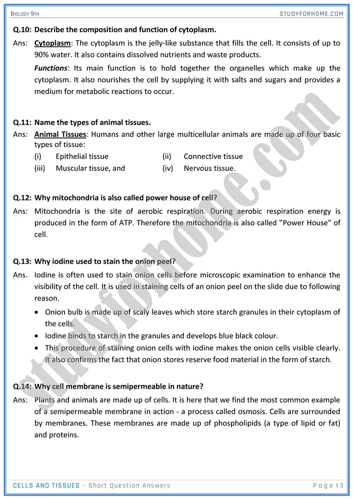 cells and tissues short question answers biology 9th 3