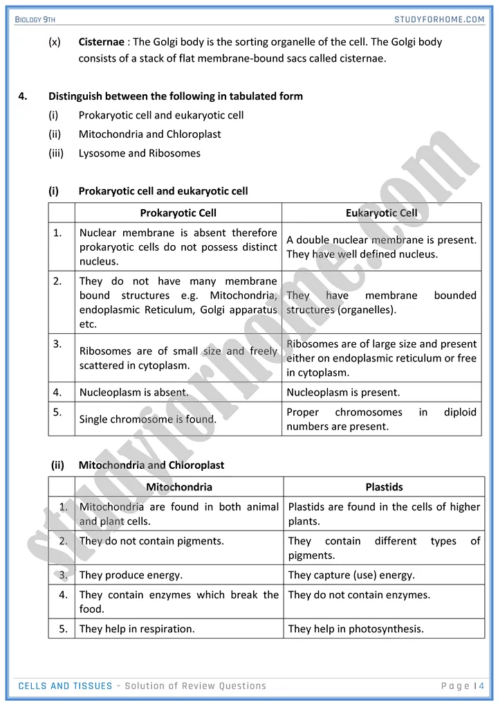 cells and tissues solution of review questions biology 9th 4