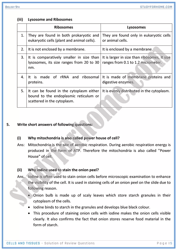 cells and tissues solution of review questions biology 9th 5