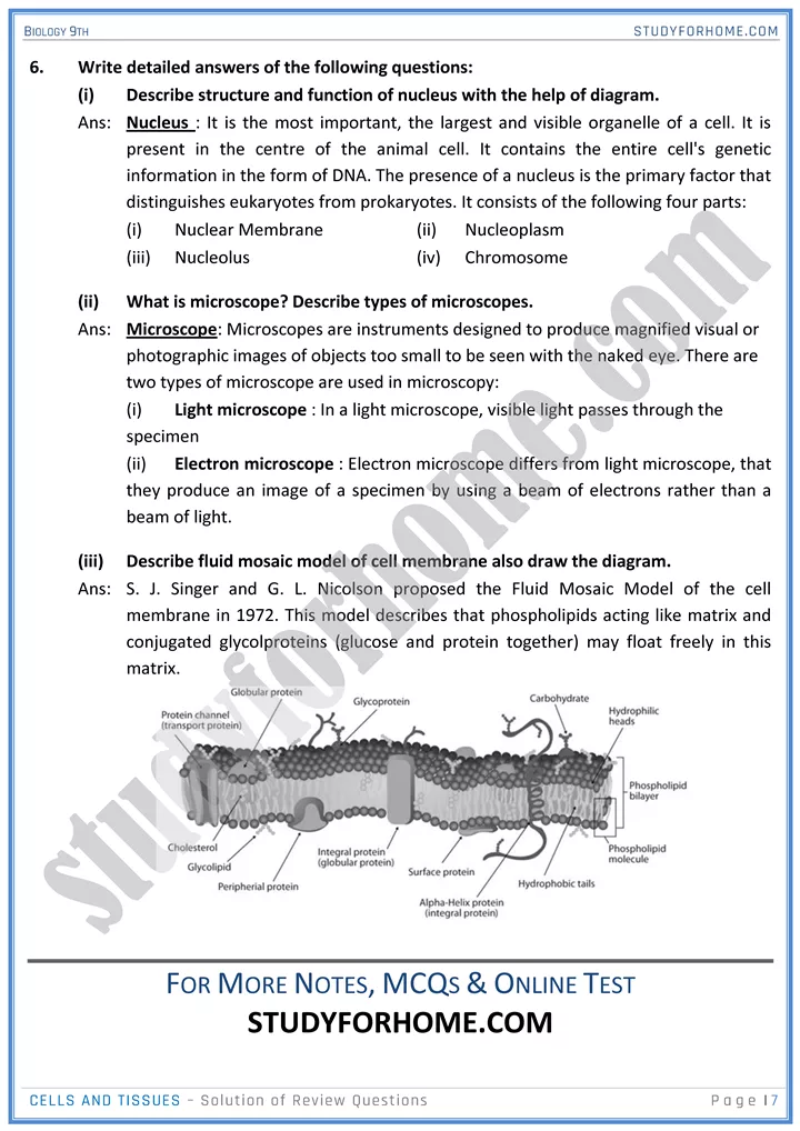 cells and tissues solution of review questions biology 9th 7