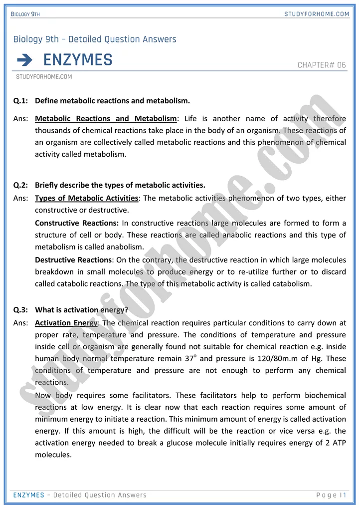 enzymes detailed question answers biology 9th 1