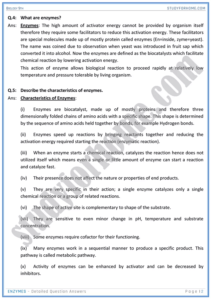 enzymes detailed question answers biology 9th 2