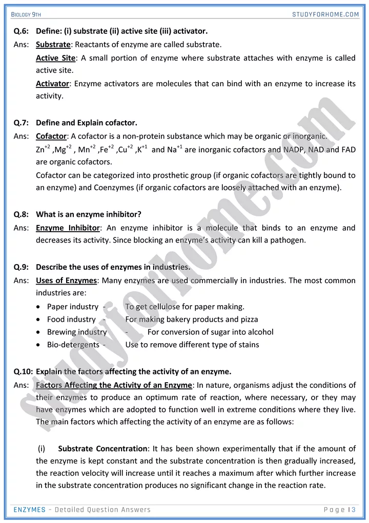 enzymes detailed question answers biology 9th 3