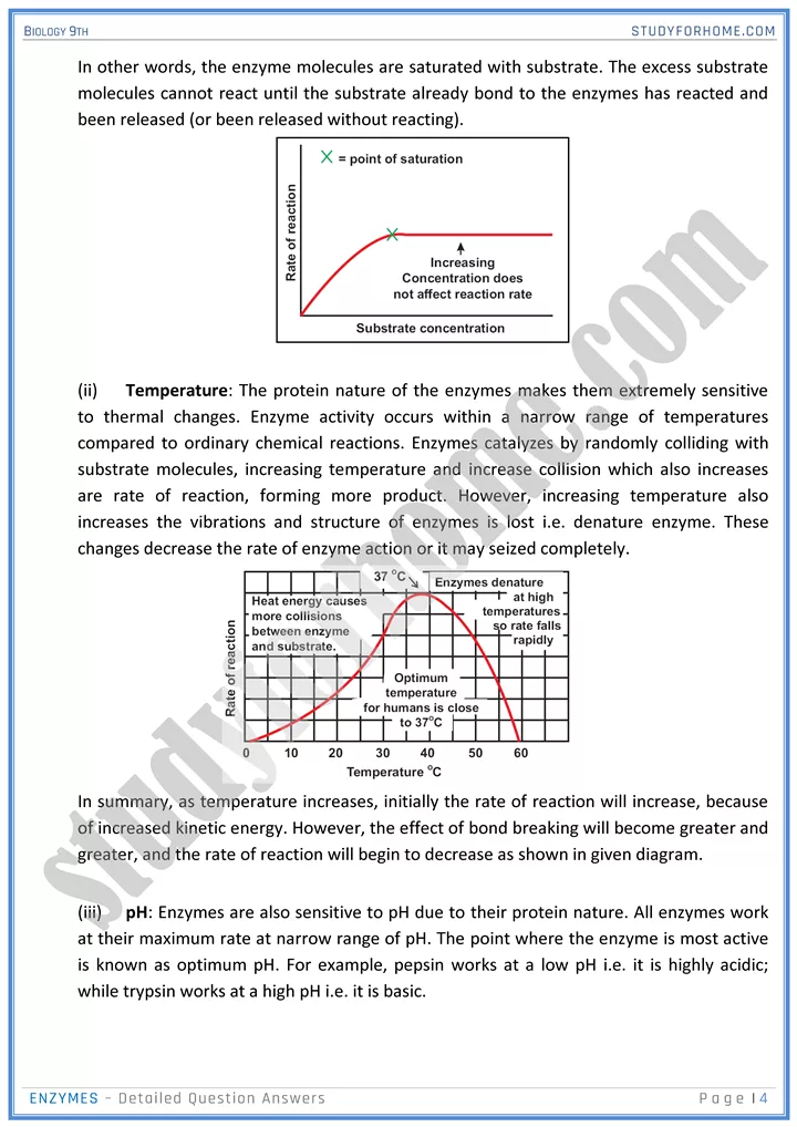 enzymes detailed question answers biology 9th 4