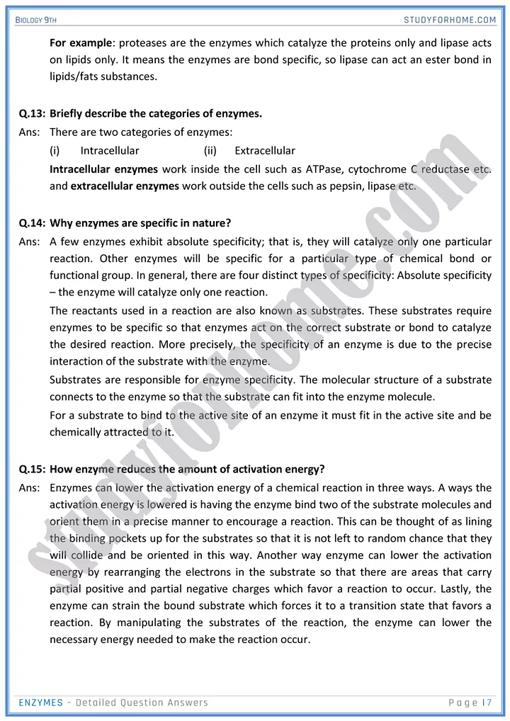 enzymes detailed question answers biology 9th 7