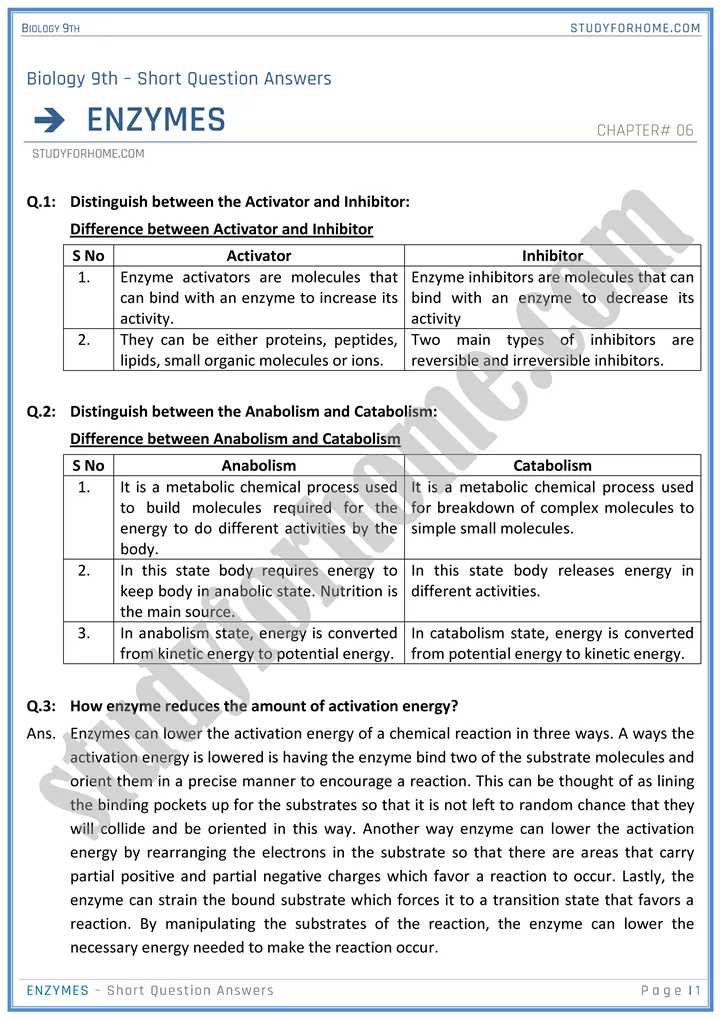 enzymes short question answers biology 9th 1