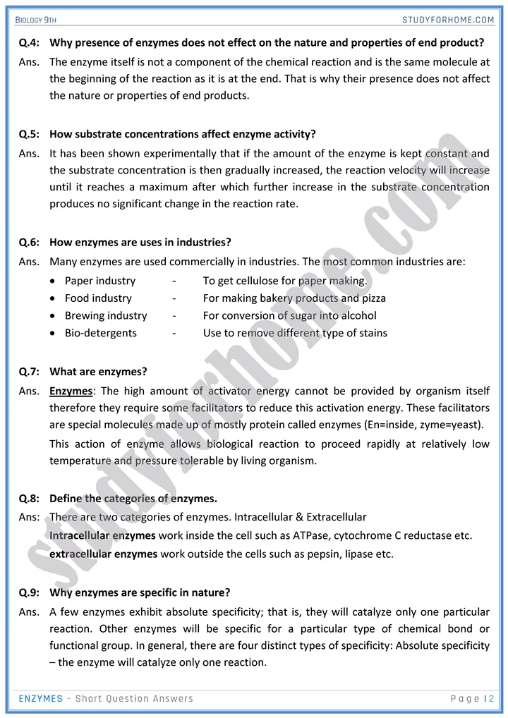 enzymes short question answers biology 9th 2