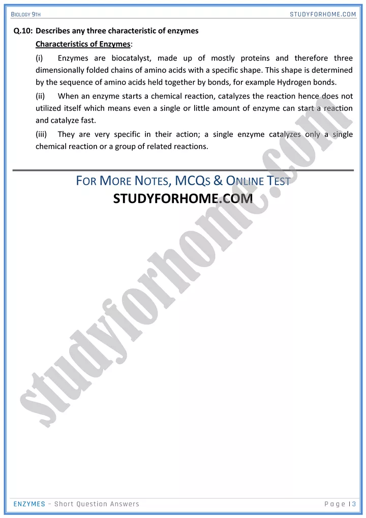 enzymes short question answers biology 9th 3