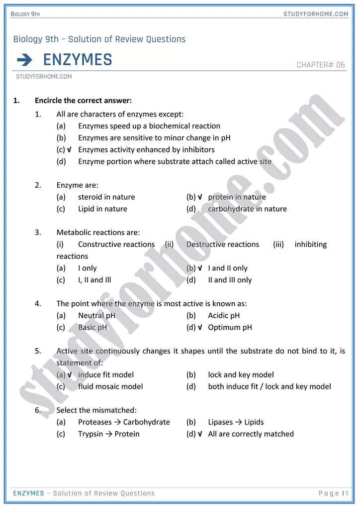 enzymes solution of review questions biology 9th 1