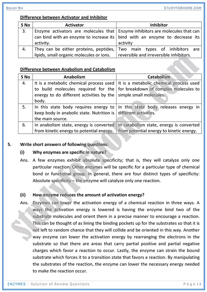 enzymes solution of review questions biology 9th 4