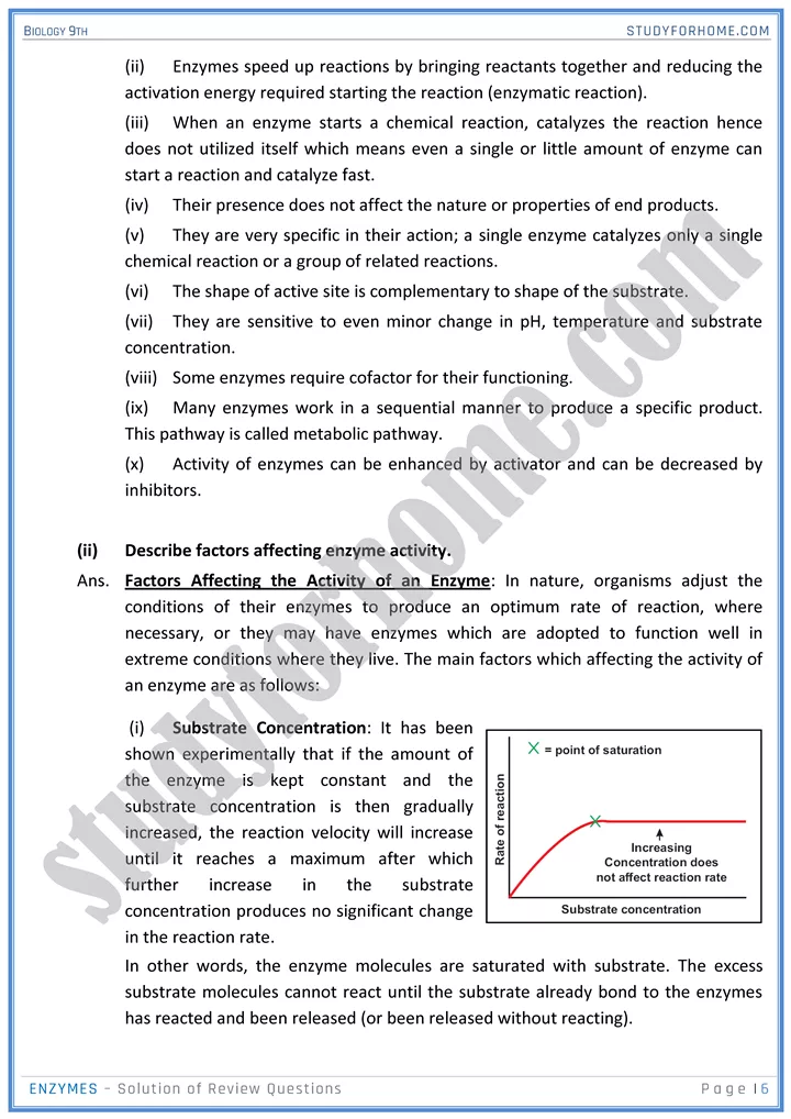 enzymes solution of review questions biology 9th 6