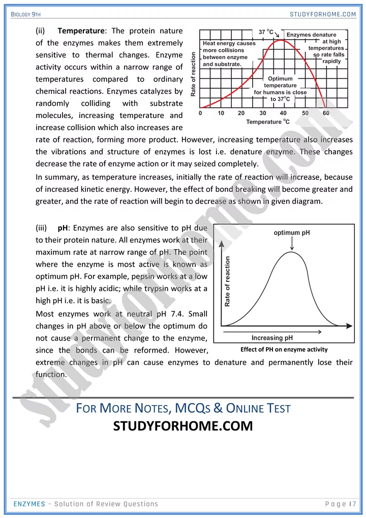 enzymes solution of review questions biology 9th 7