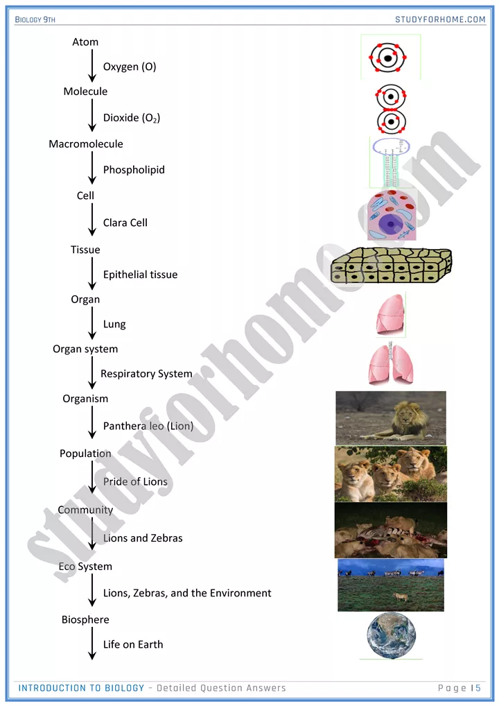 introduction to biology detailed question answers biology 9th 05