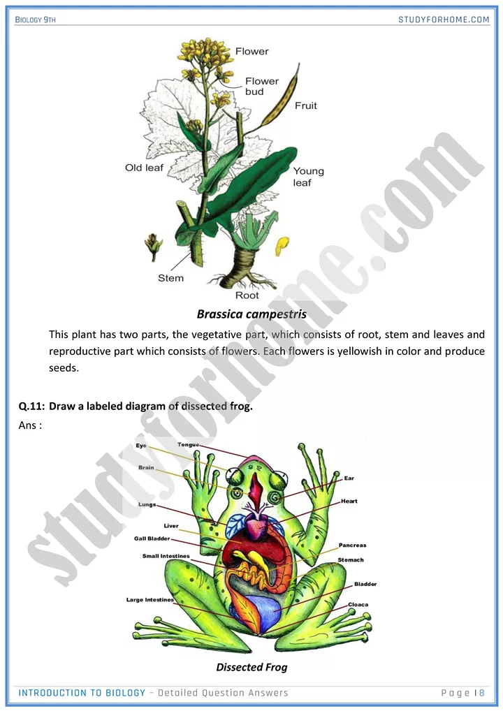 introduction to biology detailed question answers biology 9th 08