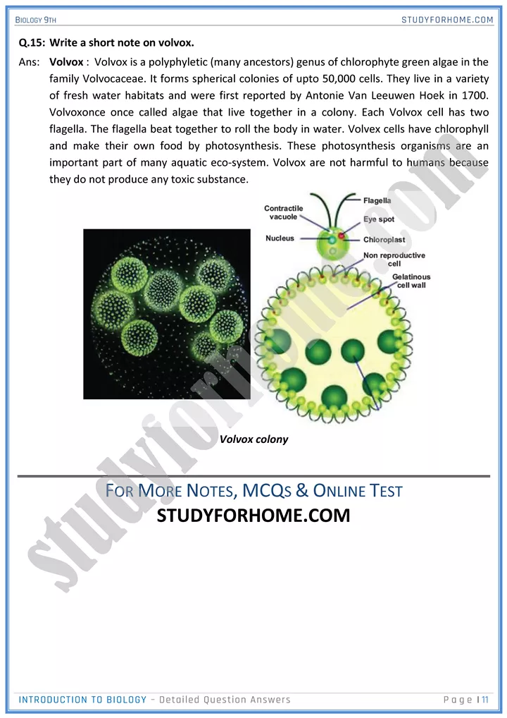 introduction to biology detailed question answers biology 9th 11