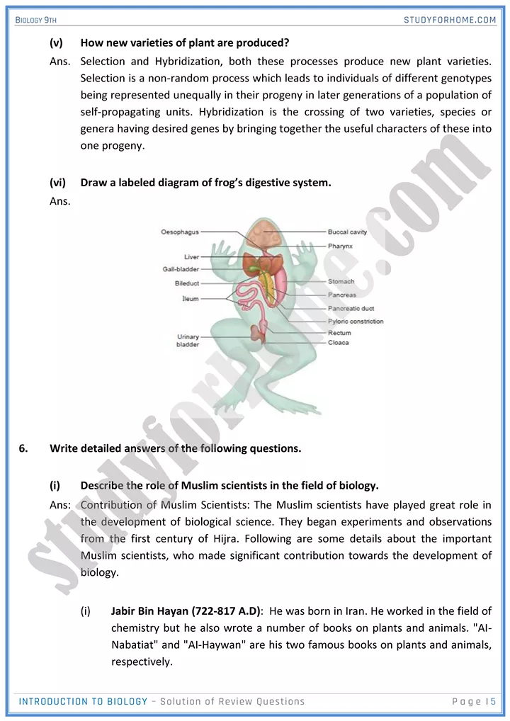 introduction to biology solution of review questions biology 9th 5