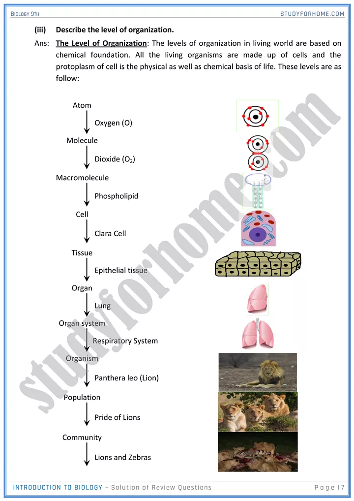 introduction to biology solution of review questions biology 9th 7