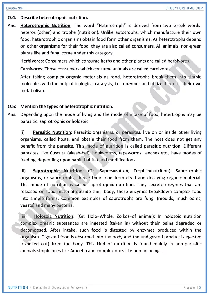 nutrition detailed question answers biology 9th 02