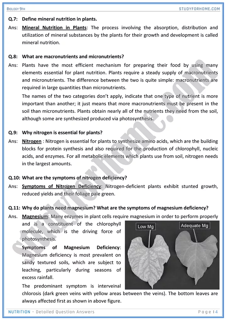 nutrition detailed question answers biology 9th 04