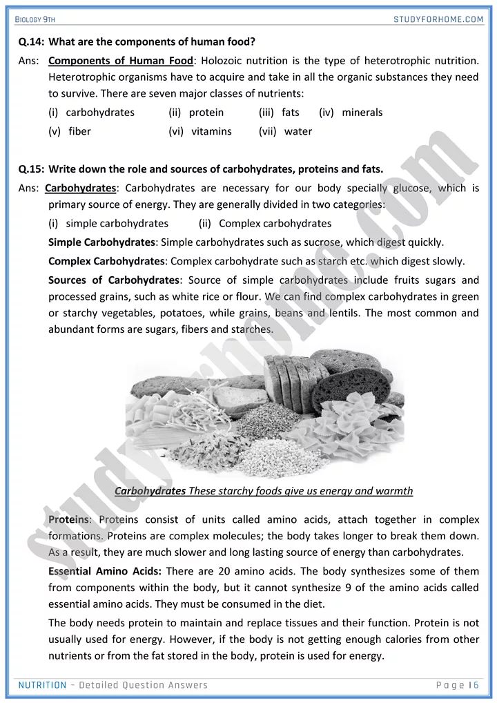 nutrition detailed question answers biology 9th 06