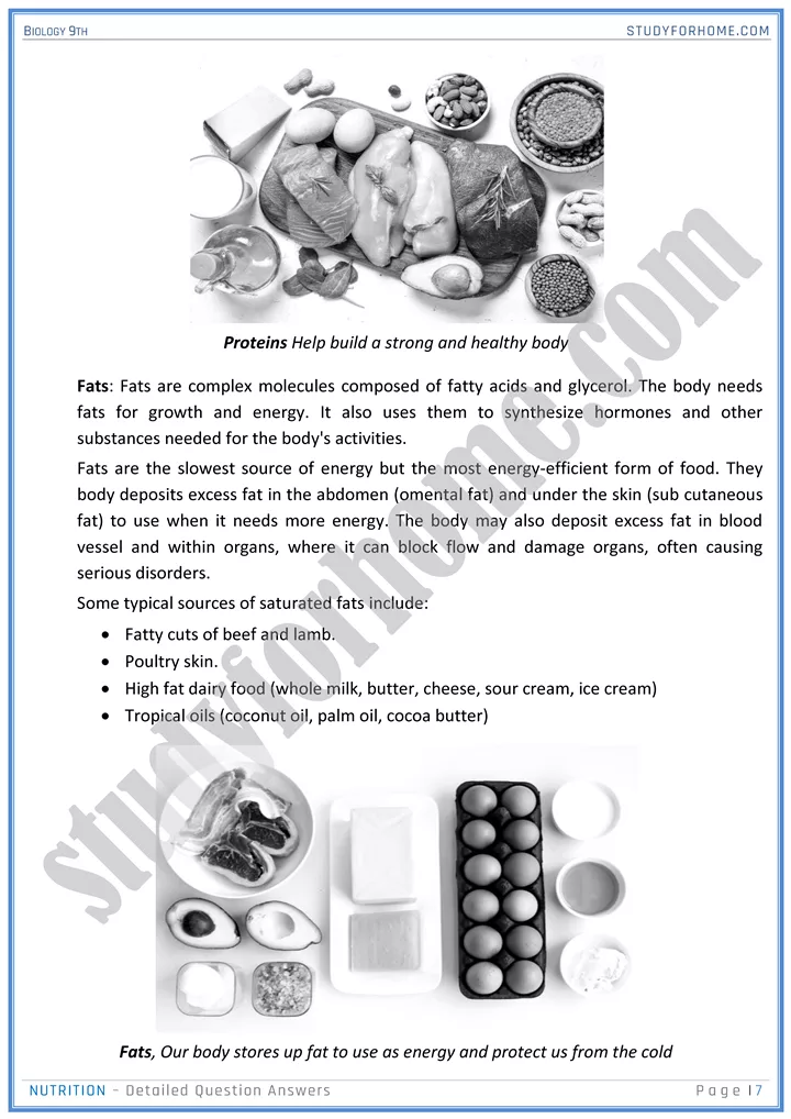 nutrition detailed question answers biology 9th 07