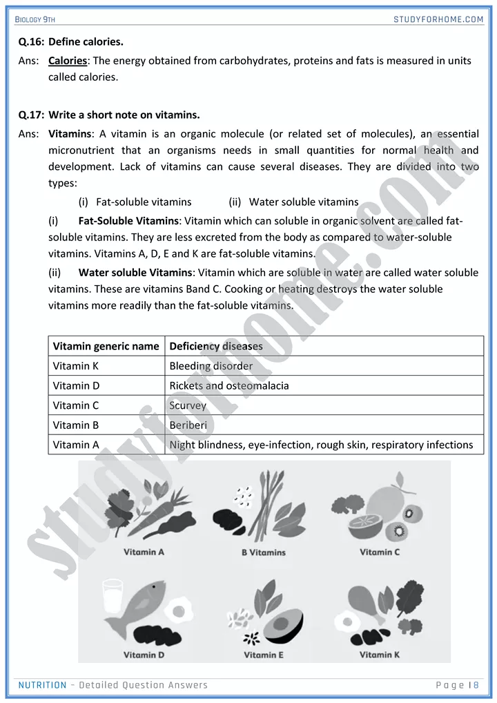 nutrition detailed question answers biology 9th 08