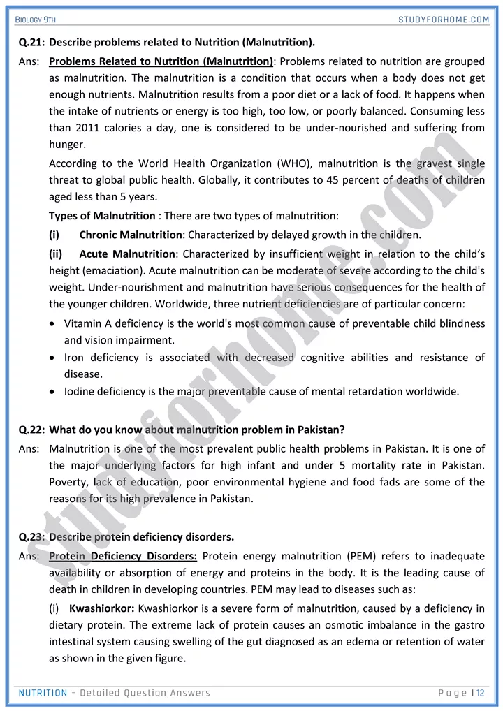 nutrition detailed question answers biology 9th 12