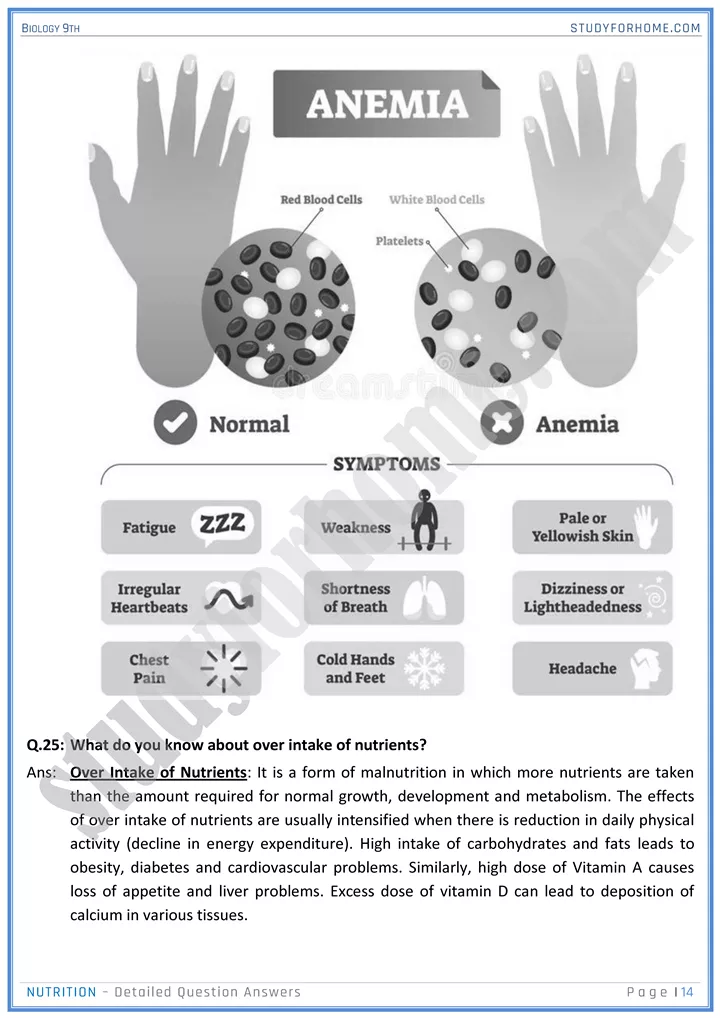 nutrition detailed question answers biology 9th 14