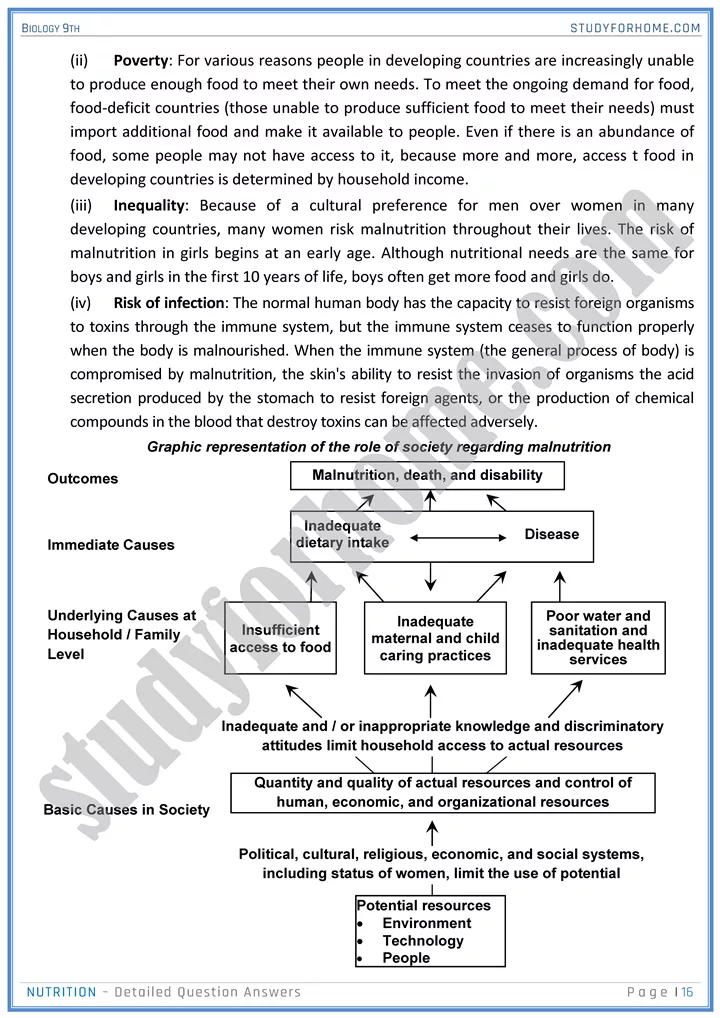 nutrition detailed question answers biology 9th 16