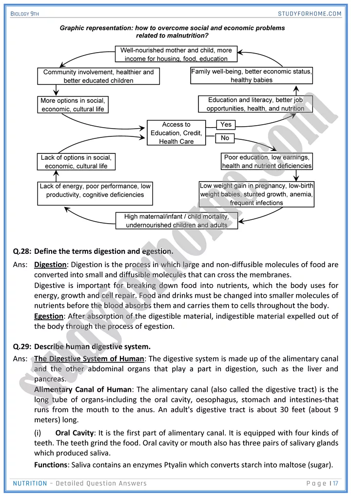 nutrition detailed question answers biology 9th 17