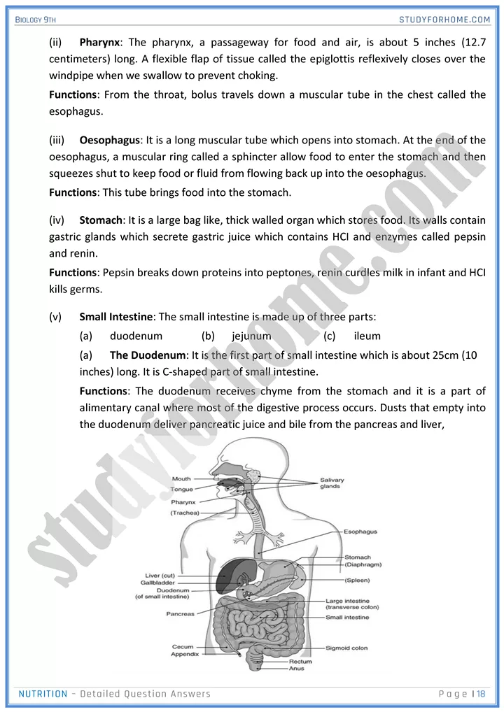 nutrition detailed question answers biology 9th 18