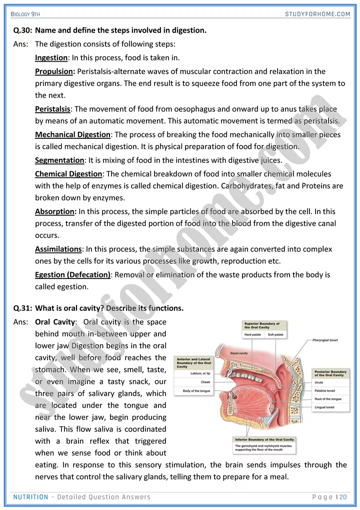 nutrition detailed question answers biology 9th 20