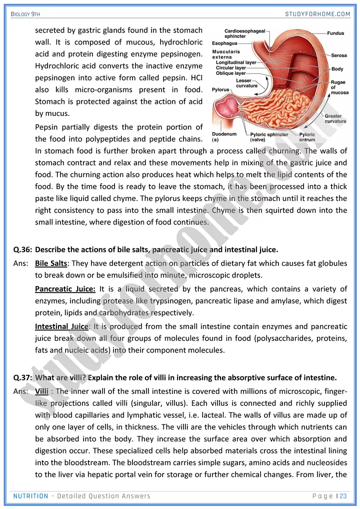 nutrition detailed question answers biology 9th 23