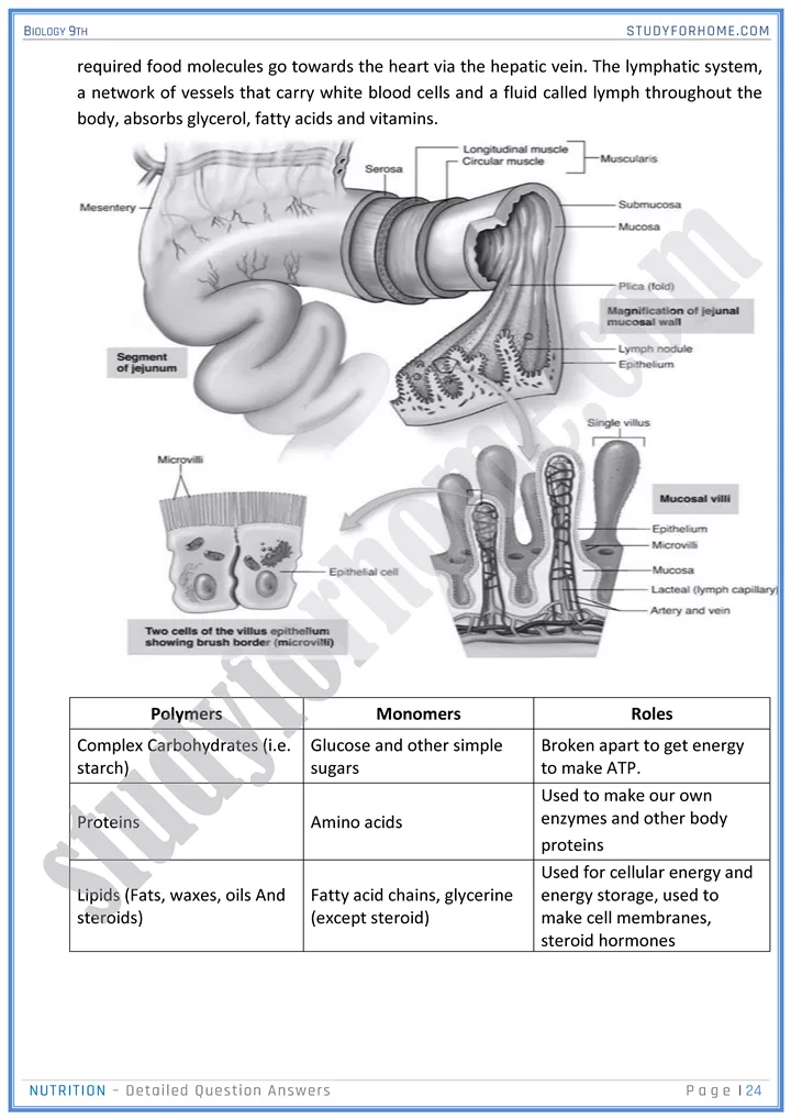 nutrition detailed question answers biology 9th 24