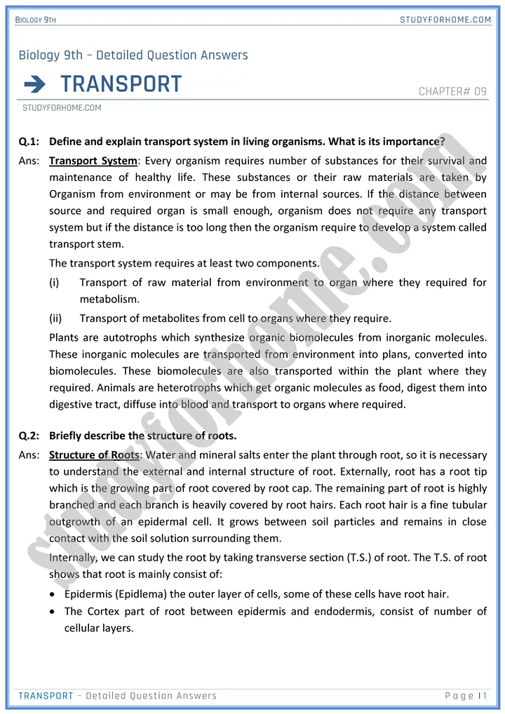 transport detailed question answers biology 9th 01