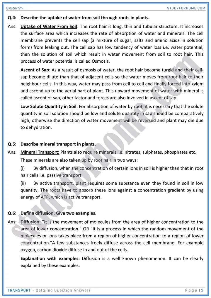 transport detailed question answers biology 9th 03