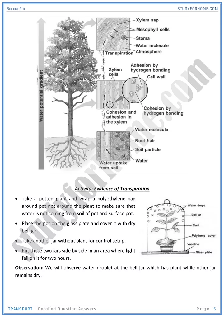 transport detailed question answers biology 9th 05