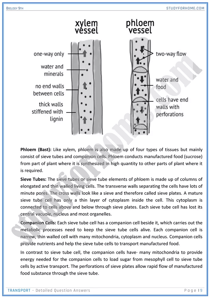 transport detailed question answers biology 9th 09