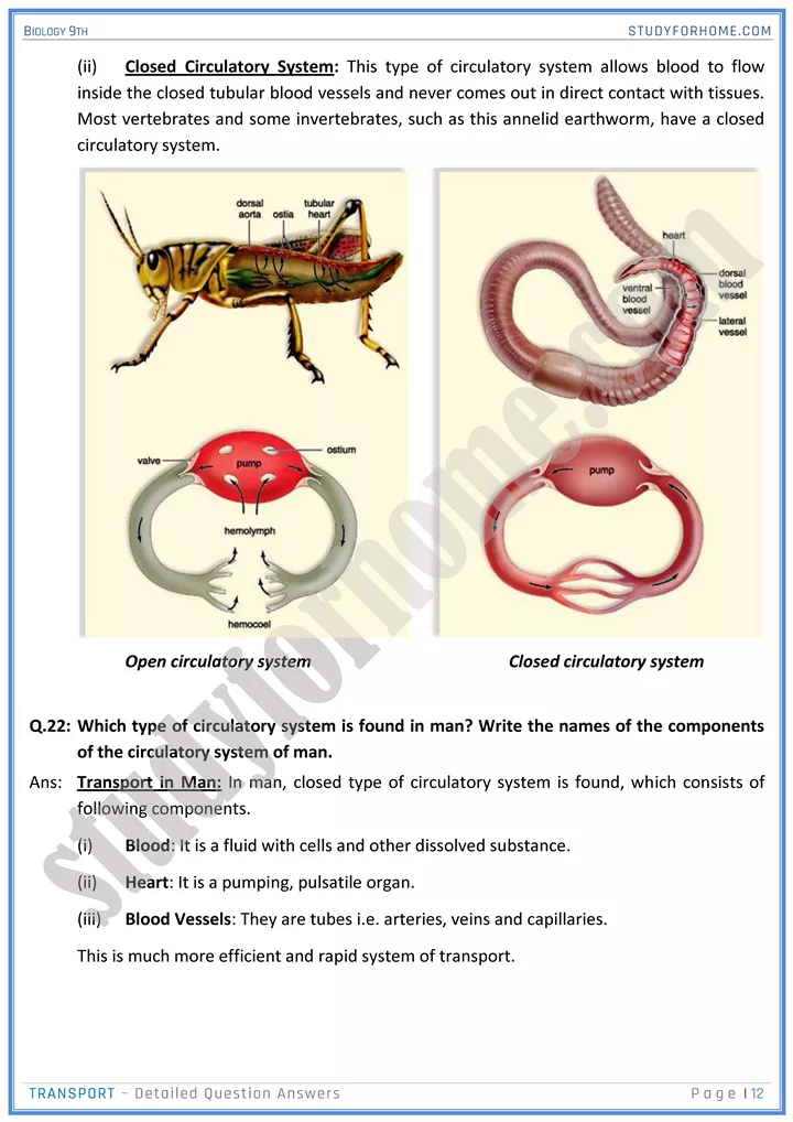 transport detailed question answers biology 9th 12