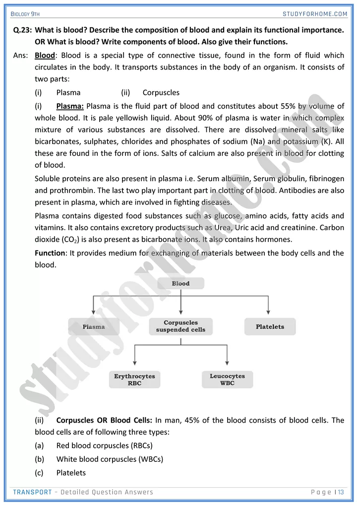 transport detailed question answers biology 9th 13