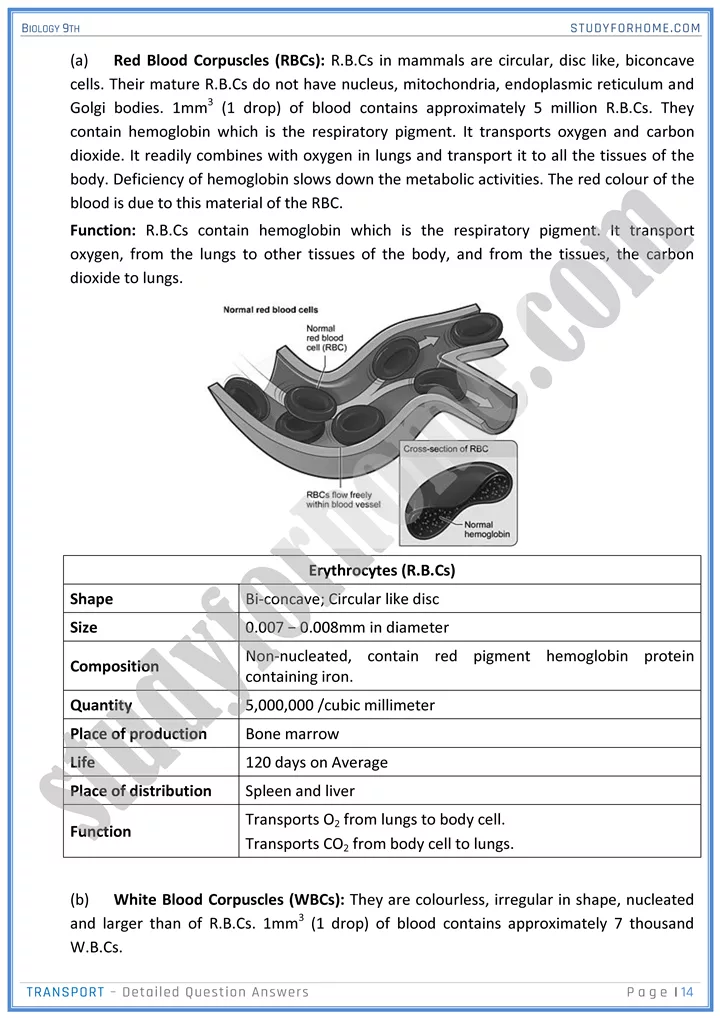 transport detailed question answers biology 9th 14