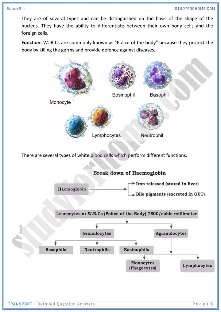 transport detailed question answers biology 9th 15