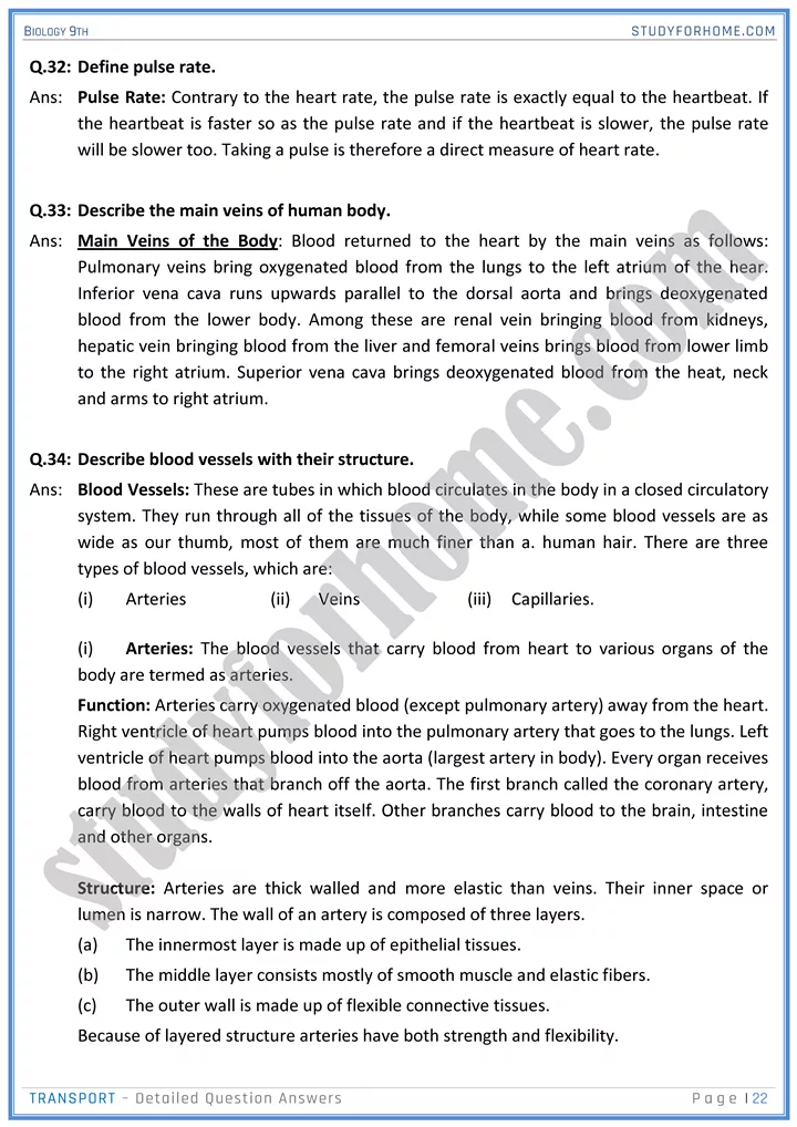 transport detailed question answers biology 9th 22