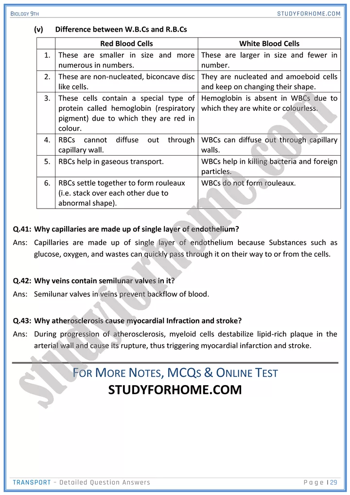 transport detailed question answers biology 9th 29